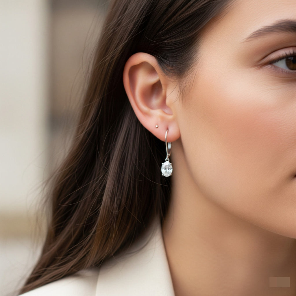 Luxureen Zircon Dangle Earrings
