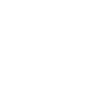 Expert Craftsmanship